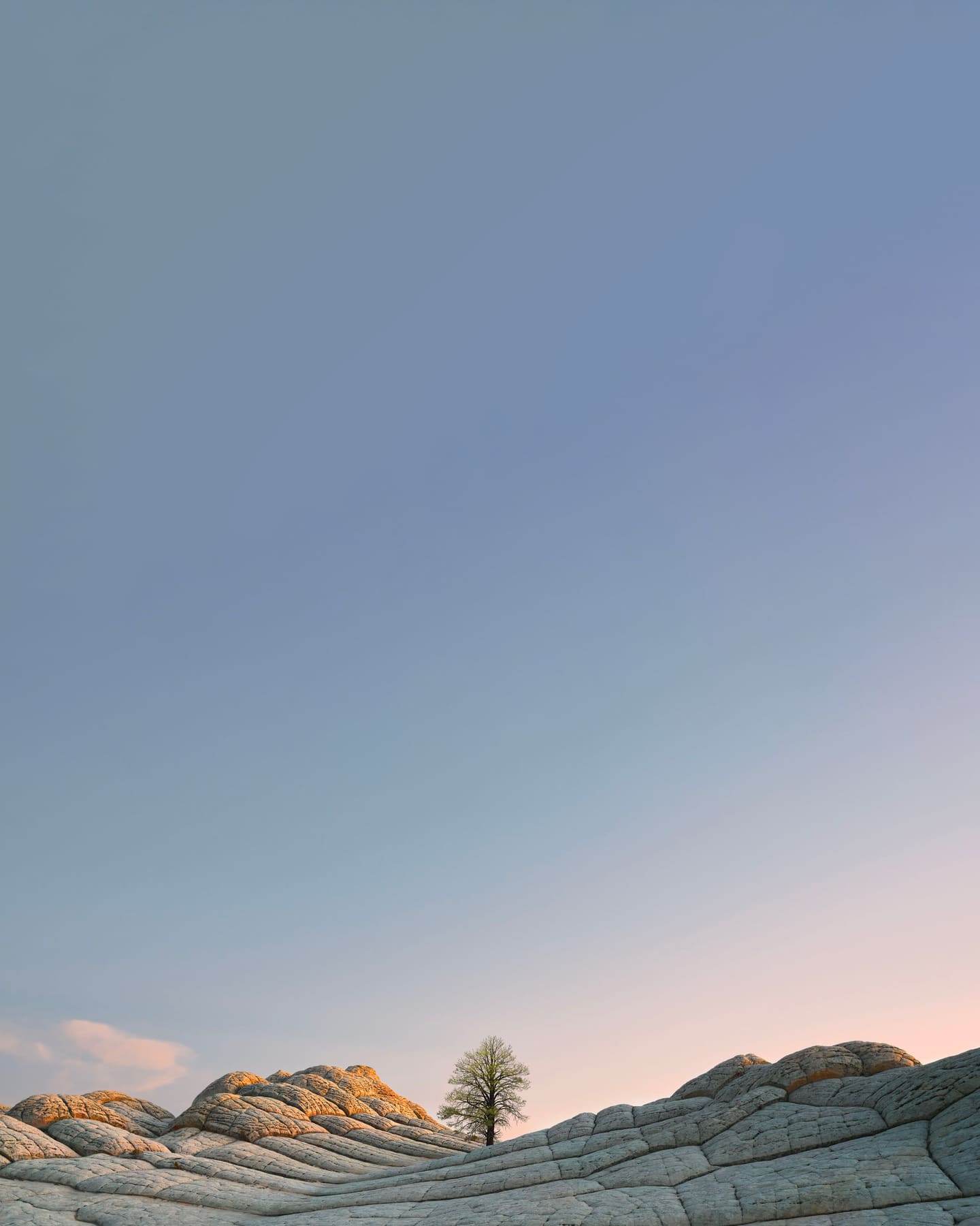 The poster ground. Pale layered rock formations under a dusk sky graded from blue through to peach, with a single bare tree standing on the ridge.